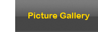 PictureGallery